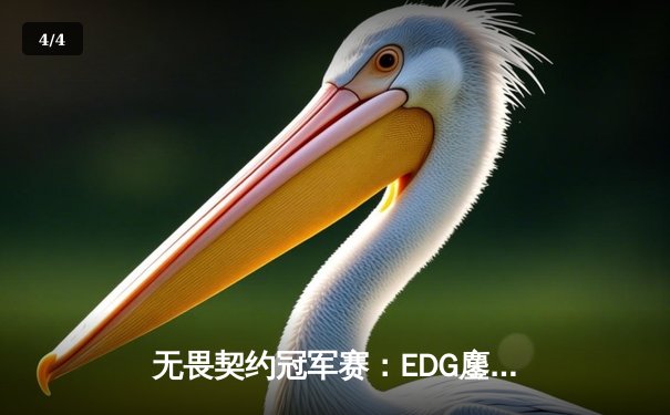 无畏契约冠军赛：EDG鏖战五局力克GEN，亚洲之光闪耀全球总决赛 - 4